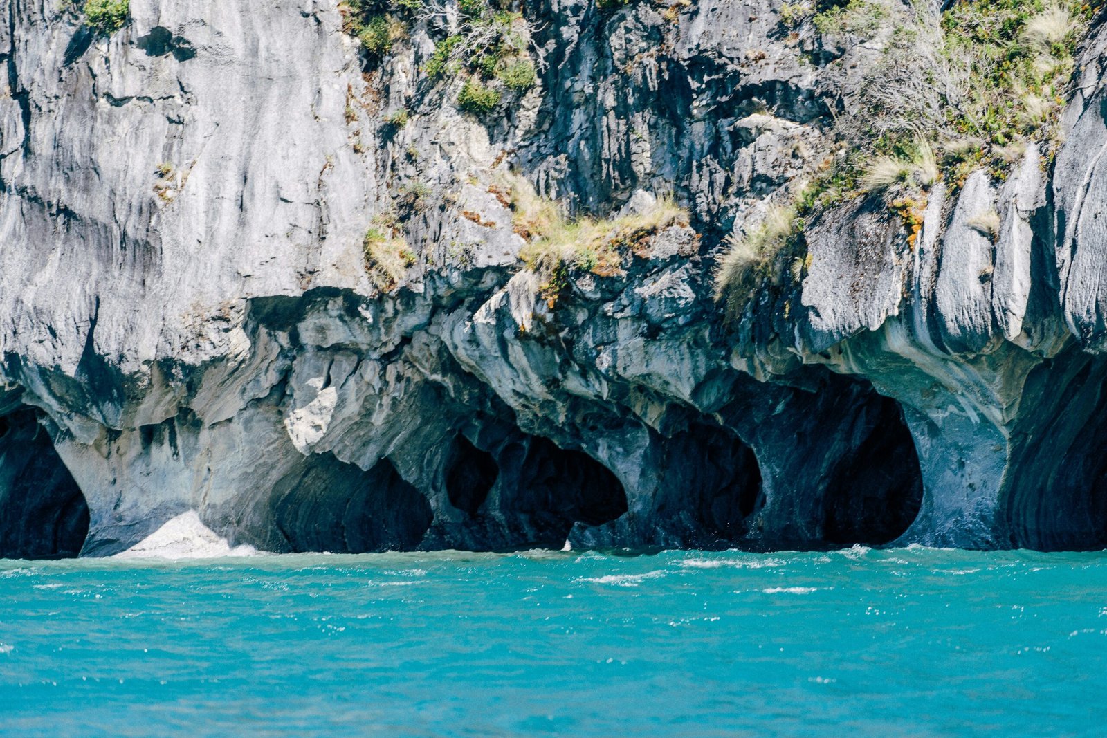 Explorando y Celebrando la Belleza de la Naturaleza